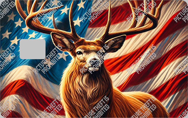 Bank  Card Sticker-BC-1524
